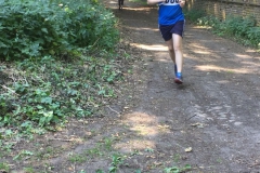 IMG-20180609-WA0012