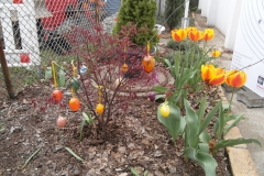 SAM_0990