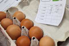 IMG-20250413-WA0303