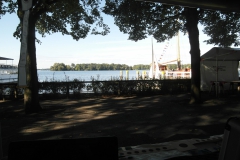 SAM_3523