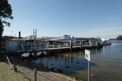 SAM_3537
