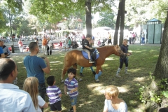 SAM_3547