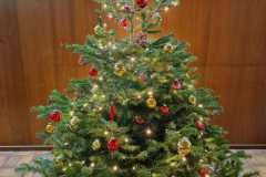 IMG-20231210-WA0051